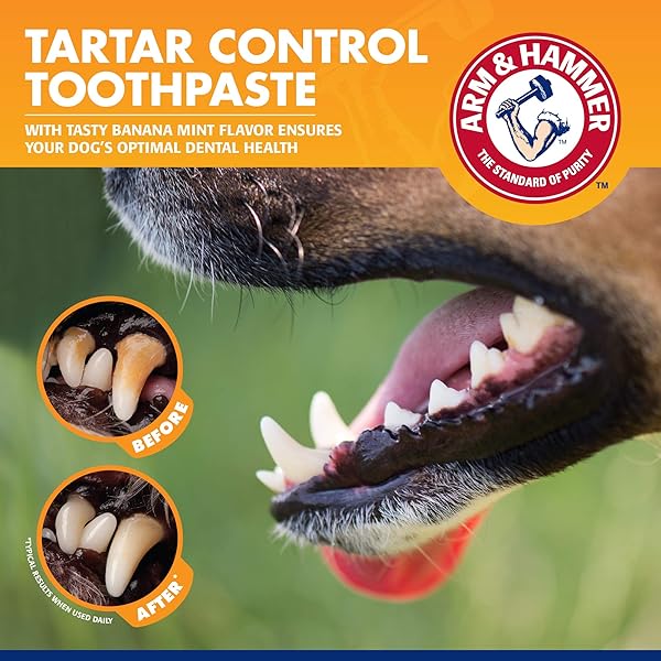 ARM & HAMMER FOR PETS TARTAR CONTROL KIT FOR DOGS CONTAINS TOOTHPASTE, TOOTHBRUSH & FINGERBRUSH REDUCES PLAQUE & TARTAR BUILDUP, 3-PIECE KIT, BANANA MINT FLAVOR (PACK OF 1)