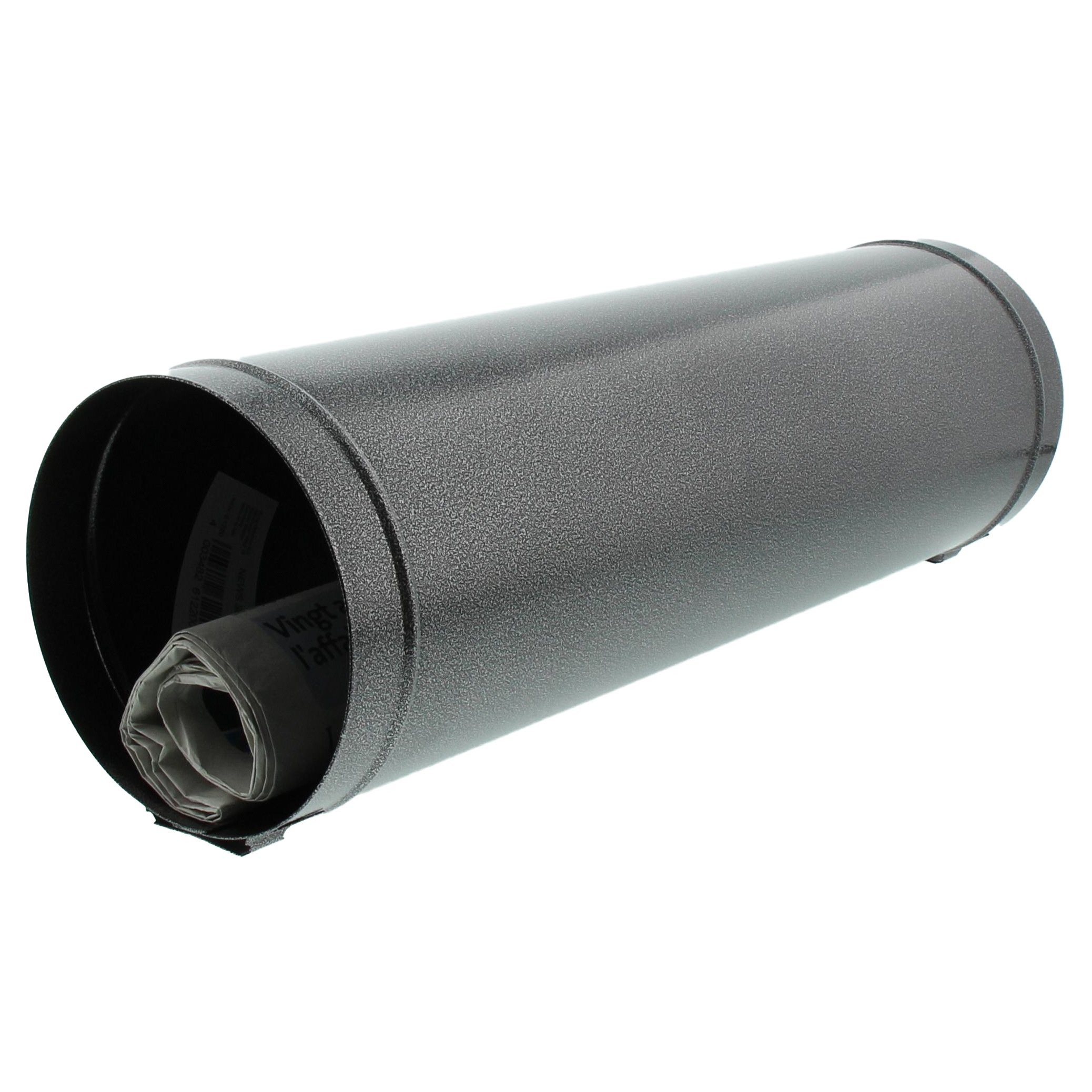 BURG-WÄCHTER, Tube-Type Newspaper Holder, usable on Both Sides, Slot in A4 Format, Stainless Steel 5800 E, Iron, News 5800 E