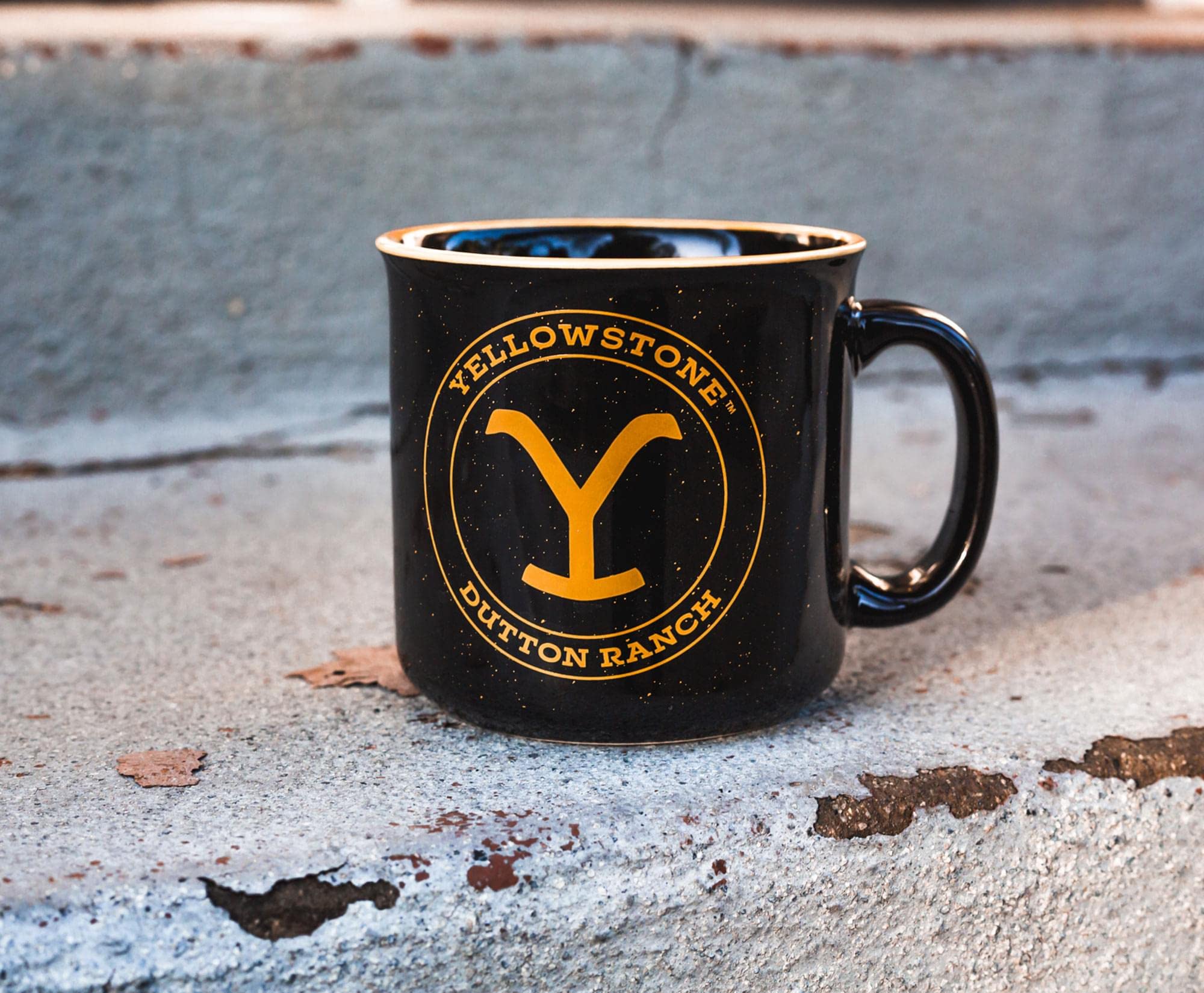 View 8
