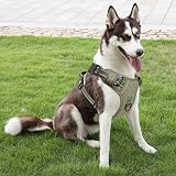 HEELE Dog Harness No Pull Large Front Back Clips Reflective Padded Green L view 6