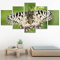 SIGNWIN 5 Panel Canvas Wall Art Modern Art Bee Butterfly Colorful Contemporary Insects Multicolor Photography for Home Decorations Ready to Hang - 60