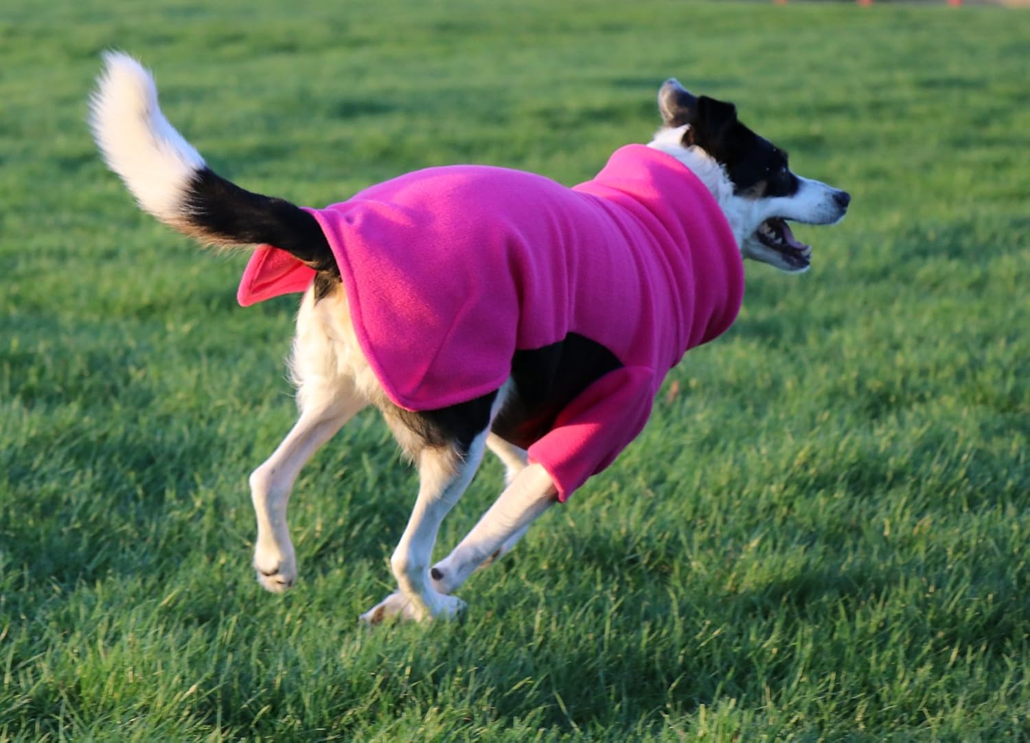 Glenndarcy dog fleece Clearance