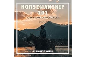 Horsemanship 101: Foundational Groundwork: Beginner Horsemanship Series
