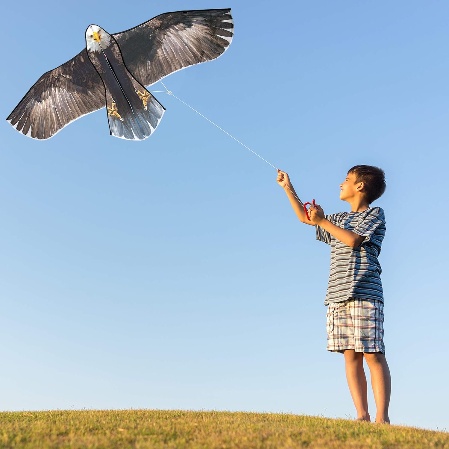 JEKOSEN 70" Bald Eagle Huge Kite for Kids and Adults Single Line String Easy to Fly for Beach Trip Park Family Outdoor Games and Activities: Toys & Games