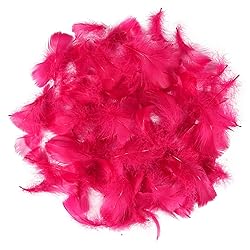 300pcs Wine Red Feathers 2-3 Inches Bulk Feathers