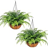 PABREY 2 Set Fake Ferns with Hanging Baskets, Artificial Boston Ferns for Outdoors, Realistic Fake Hanging Ferns Plants Outdoor Artificial Plants for Front Porch Home Décor, No Assembly