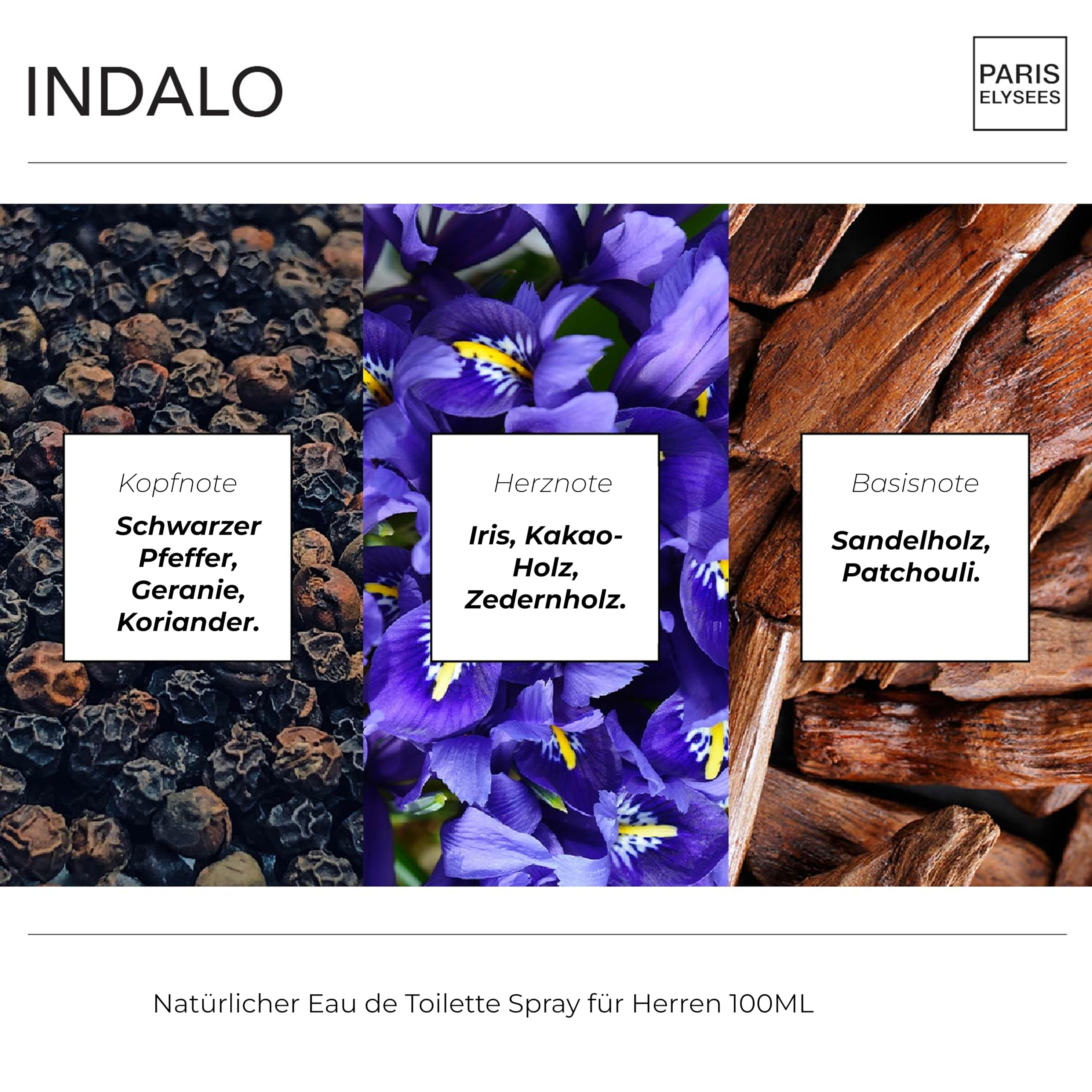 PARIS ELYSEES - Indalo - Eau de Toilette - Parfüm herren - Holzig & Würzig - Schwarzer Pfeffer, Geranie - Männerduft - Perfume men - Zerstäuber 100 ml - Inklusive nachfüllbarer 5ml - Reiseflakon 2