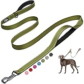Fida 6 FT Heavy Duty Dog Leash with 2 Comfortable Padded Handles, Traffic Handle & Advanced Easy Snap Hook, Reflective Walking Lead for Large, Medium & Small Breed, Green
