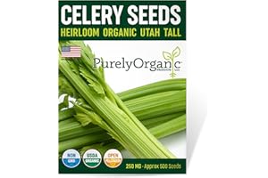 PURELY ORGANIC PRODUCTS LLC Organic Utah Tall Celery Seeds - USDA Organic, Non-GMO, Open Pollinated, Heirloom, USA Origin (1 Packet - 250 MG - Approx 500 Seeds)