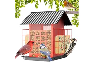 FlowaFoli Bird Feeders for Outdoors Hanging, Metal Bird Feeder with Double Suet Cage Cake, Large Capacity, Birdfeeders Sturdy & Weatherproof, Easy to Clean & Refill, Great for Attracting Wild Birds