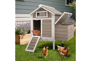 Magazoopet Chicken Coop Chicken House Outdoor with Nesting Box, Wooden Rabbit Hutch Poultry Cage with Removable Trays, Indoor Hen Duck Pet House with Ramp (32" L x 23.6" W x 36.6" H)