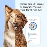Wisdom Panel Essential Dog DNA Test Kit for Breed, Health & Traits view 3