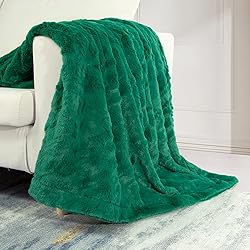 TOONOW Faux Fur Luxury Throw Blanket,Double Side