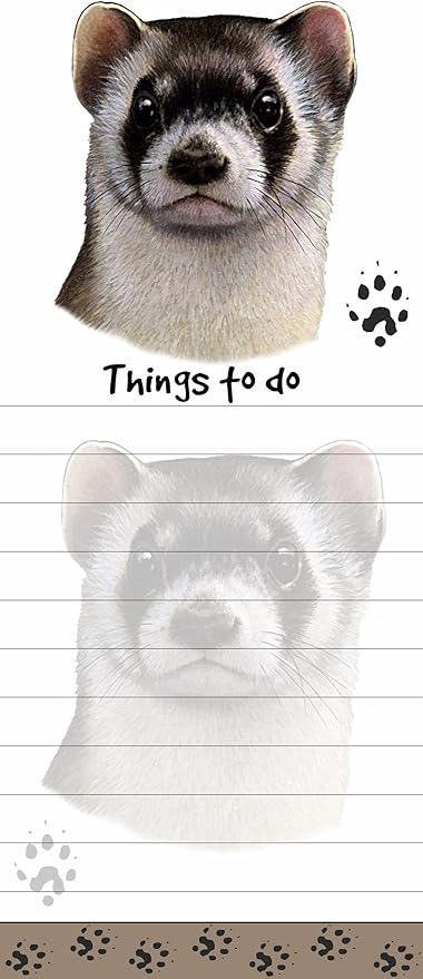 ferret supplies list
