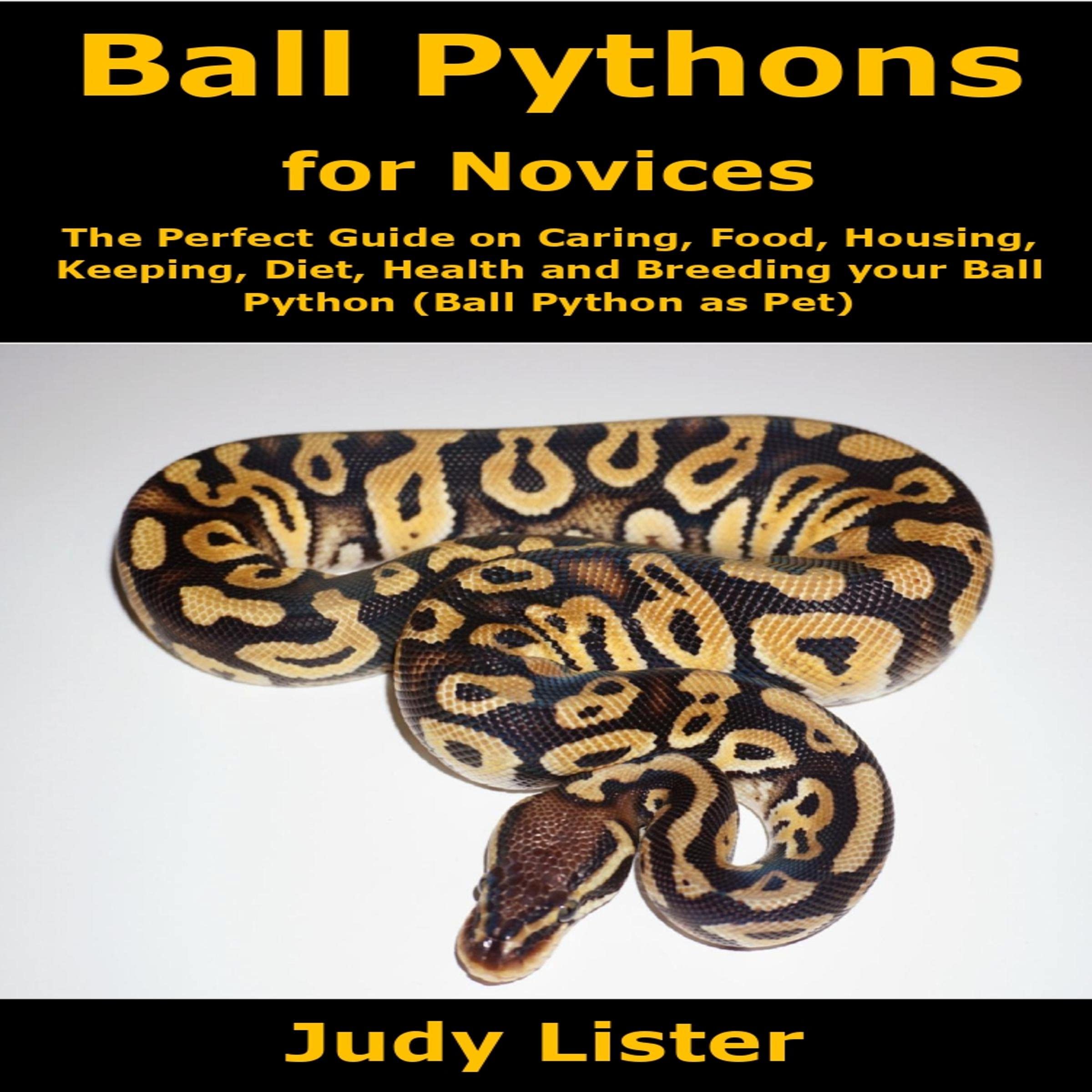 Ball Pythons for Novices: The Perfect Guide on