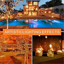 Gonhom 2 Pack A19 LED Orange Light Bulb,9 Watt