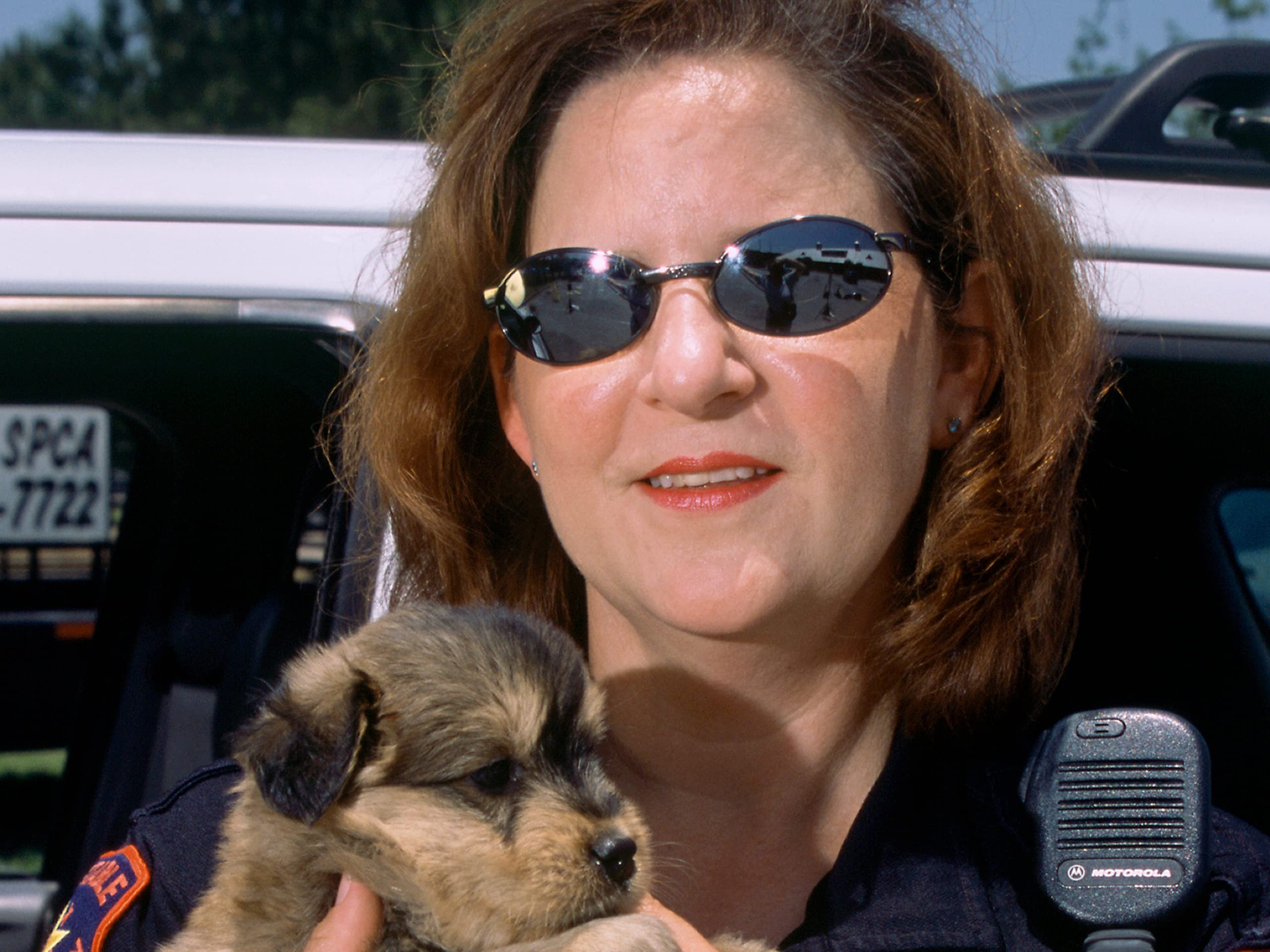 Watch Animal Cops Houston Season 4 Prime Video