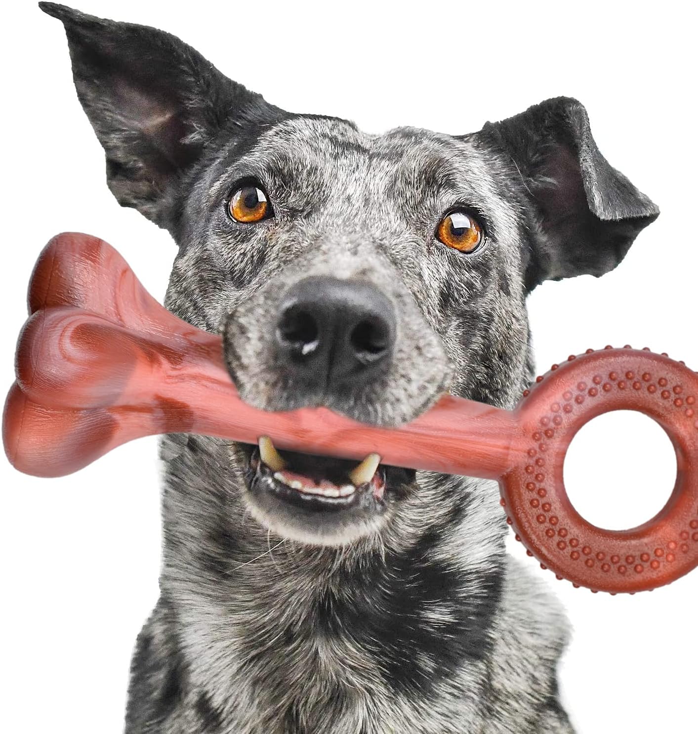 Realistic FleshColored Dog Chew Toy with A Ring Handle to Play Tug War