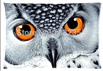 Watercolor Painting Drawing Eye Anime Wolf Eye Drawing Free
