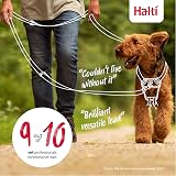 Halti Training Lead double ended no-pull small 2m burnt orange view 6