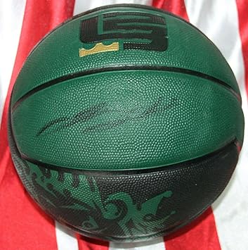 nike lebron basketball ball