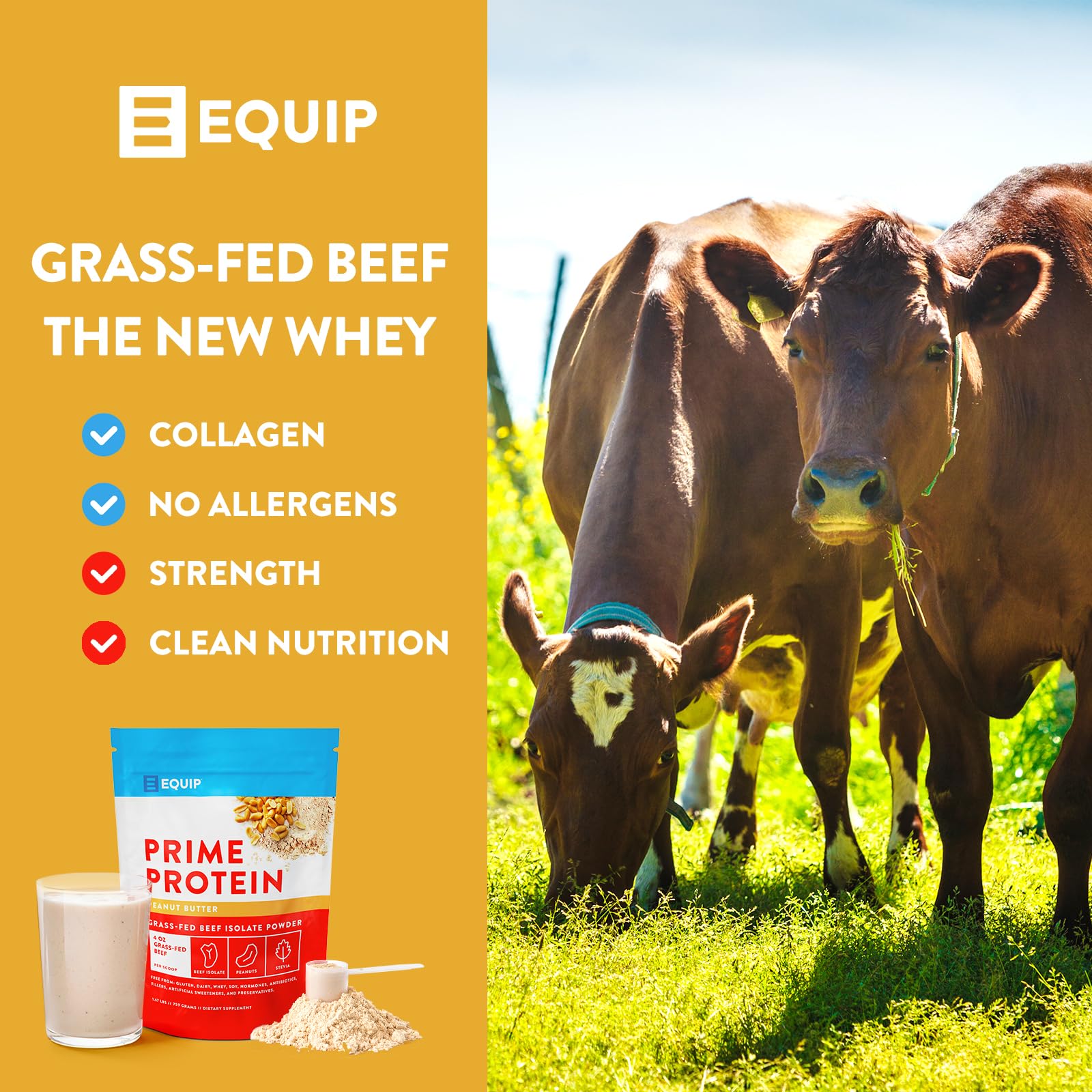 Equip Foods Prime Protein Powder | Clean, Grass Fed Beef Protein Powder for Women & Men | Carnivore Protein Isolate | Paleo, Keto Friendly | Gluten & Dairy Free | 30 Servings, Peanut Butter