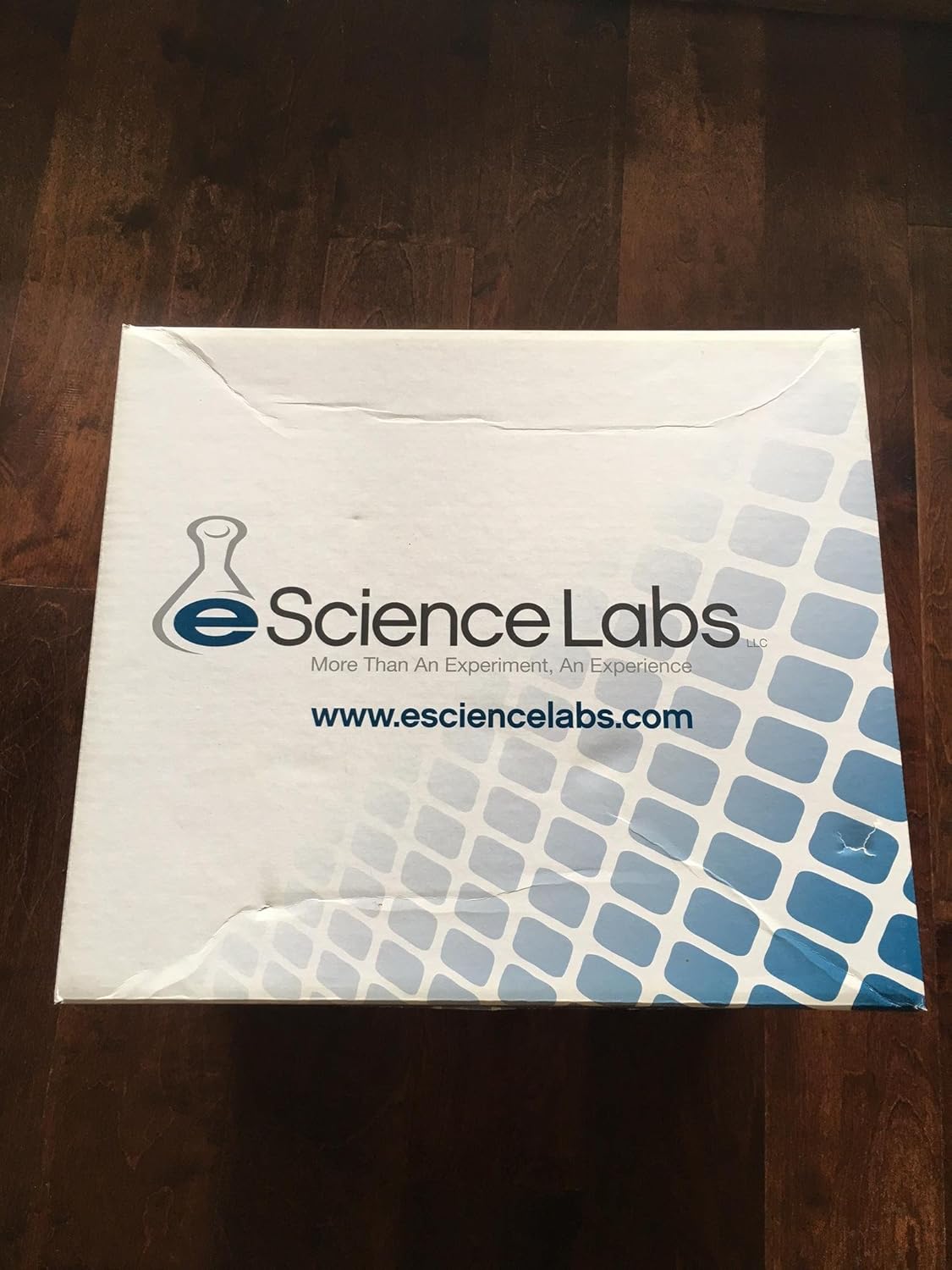 eScience Labs Kit 5018 Industrial & Scientific