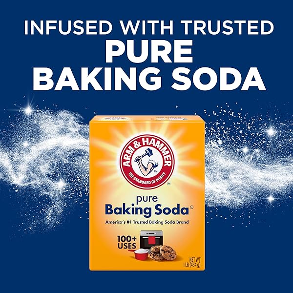 ARM & HAMMER PLUS OXICLEAN ODOR BLASTERS FRESH BOTANICAL, 77 LOADS LIQUID LAUNDRY DETERGENT, 100.5 FL OZ
