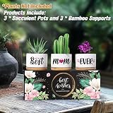 Buioata Mum Gifts Succulent Plant Pots Set of 3 Home Decor view 3