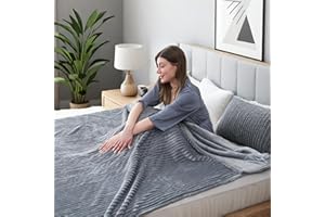 Eydna Electric Heated Blanket Dual Control Queen Size 84"x 90", Warming Striped Flannel with 10 Heating Levels & 1-12 Hours Auto Off, Machine Washable, Light Gray