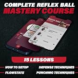 Champs MMA Boxing Reflex Ball Set of 4 with App Headband and Strings view 5