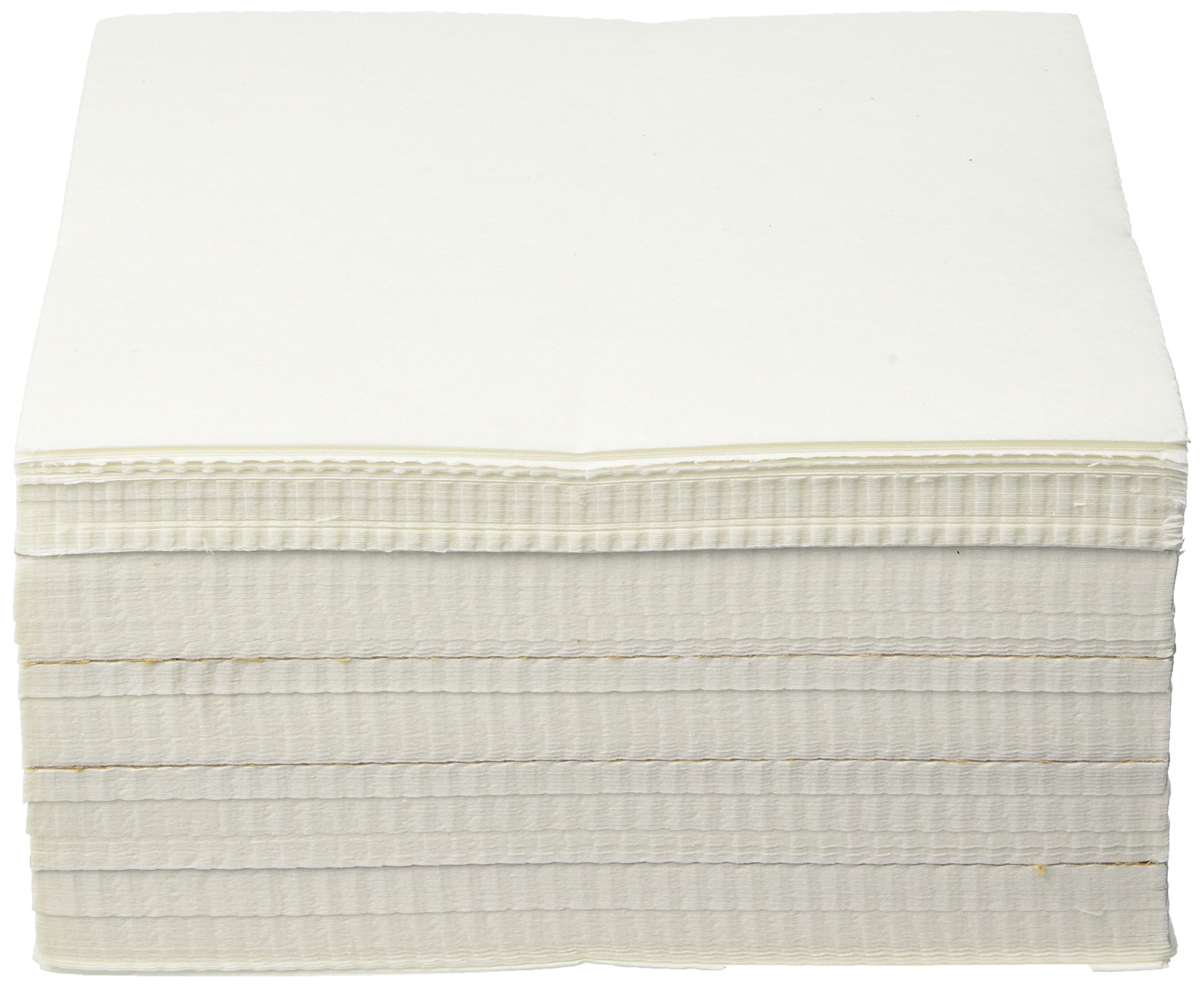 Exquisite Embroidery Stabilizer Backing Cut Away PreCut Sheets, 250