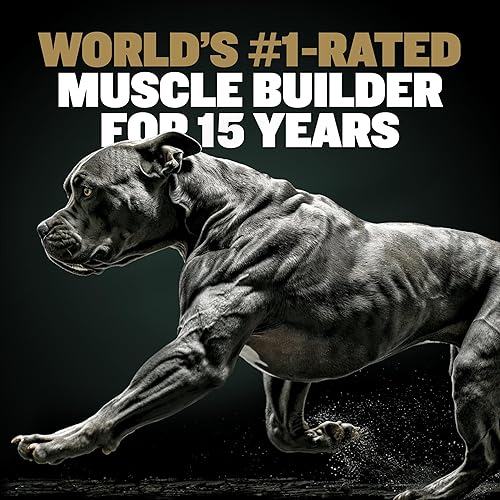 Bully Max Protein Powder for Dogs Supports Muscle Building