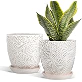 EFISPSS Ceramic Plant Pots, 6 Inch Ceramic Planter Pot with Drainage Hole and Saucer, Indoor Modern Flower Pots, Set of 2 - White