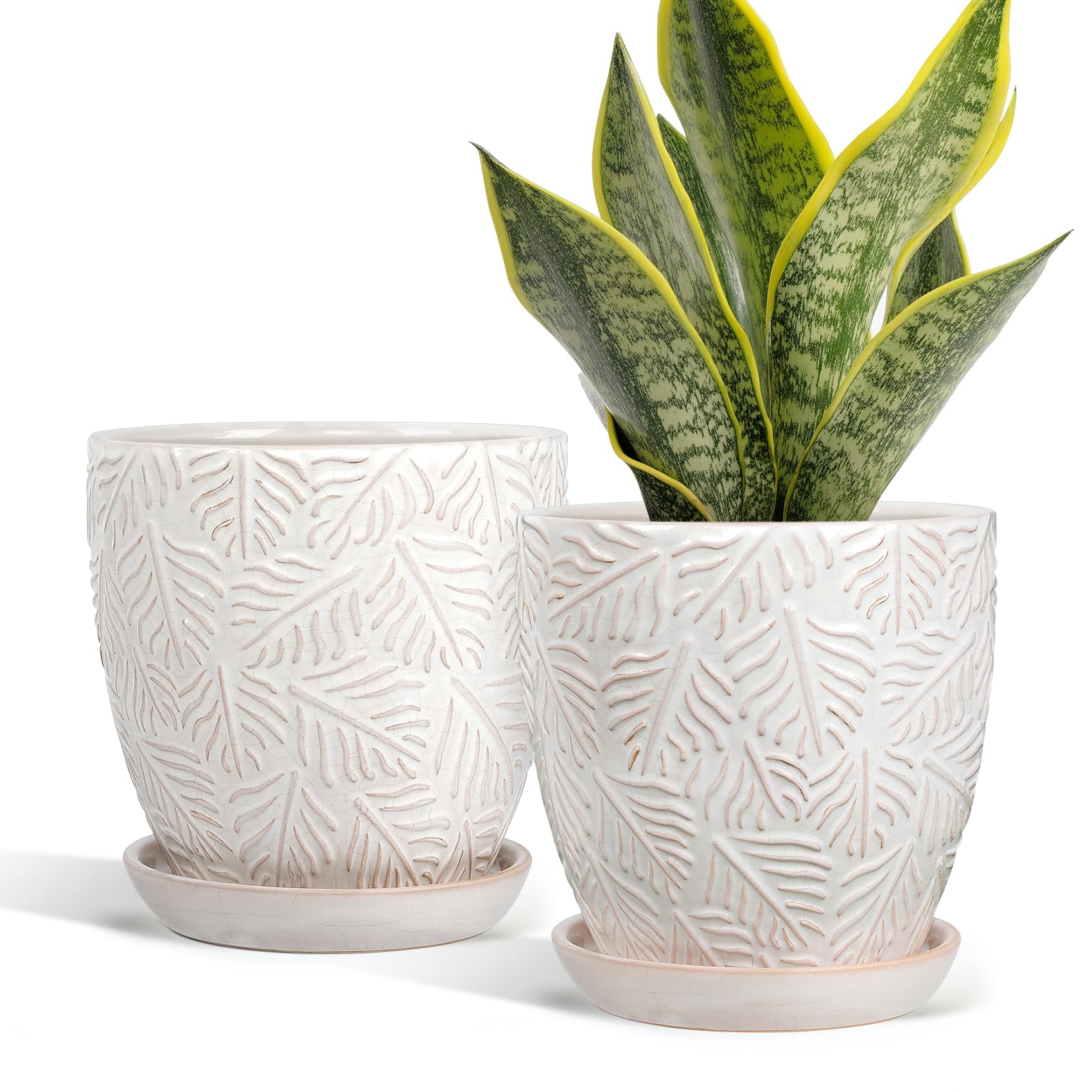 Photo 1 of EFISPSS Ceramic Plant Pots, 6 Inch Ceramic Planter Pot with Drainage Hole and Saucer, Indoor Modern Flower Pots, Set of 2 - White