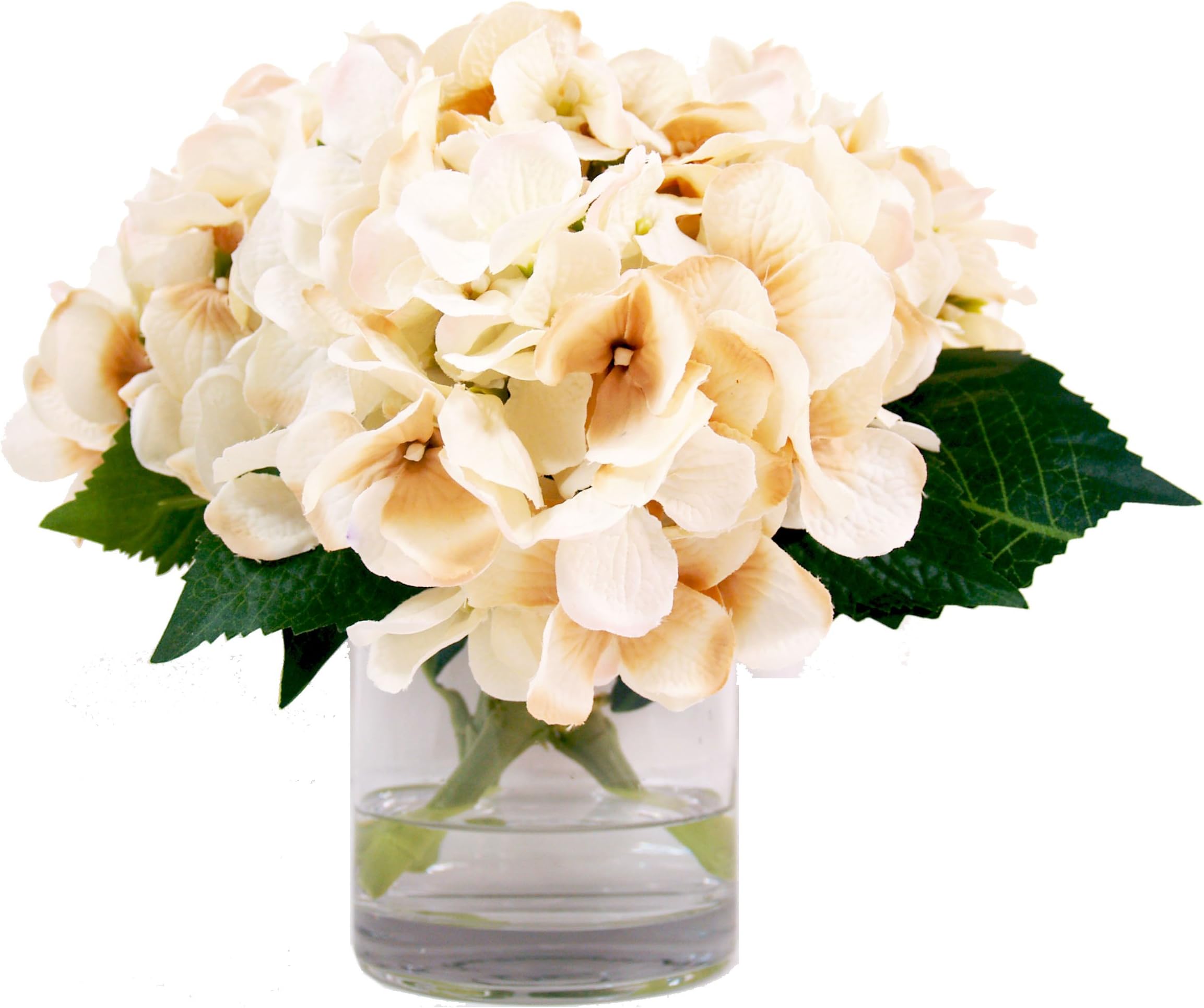 Creative Displays Hydrangea Water Floral Arrangement, Creme