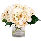 Creative Displays Hydrangea Water Floral Arrangement, Creme