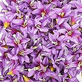 Duodoyi 20 Pcs Artificial Lily Flower Head,Fake Flowers Heads Simulation Small Lily Flower Heads for DIY Handmade Office Faux Flower Arrangement Wedding Photography Party Home Decoration(Dark Purple)
