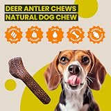 Floppy Ear Deer Antler Chew Extra Large 240-300g Dog Treat view 4