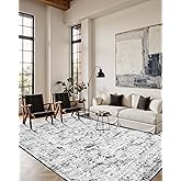 OHWPEAT Area Rugs 5x7, Washable Grey Rugs for Living Room, Bedroom, Vintage Boho Indoor Soft Carpet for Dining Room, Low Pile Rugs for Office, Farmhouse