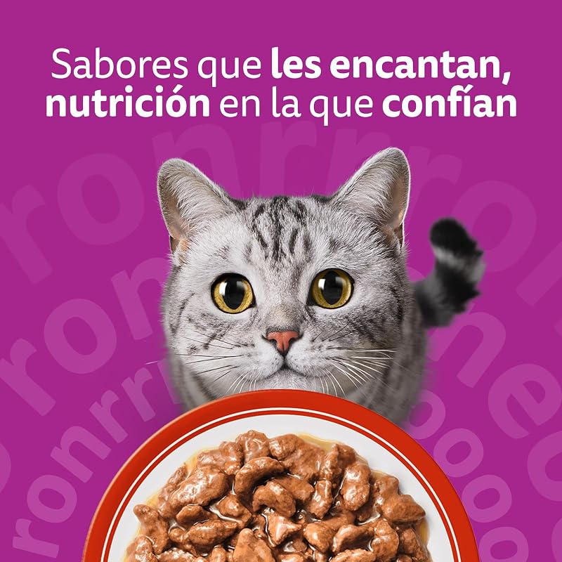 Duo Comida húmeda en Salsa Gatos Adultos Comb. Clásicas - 4 x 12 bolsitas x 85g