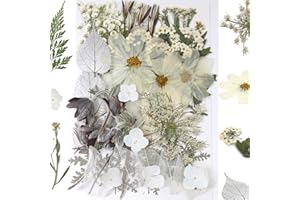 FLYEKIST Pressed Flowers for Crafts,Dried Flower Leave Natural for Resin Accessories Soap,Candle Making, Nails Decor, Christmas DIY Gift Papermaking