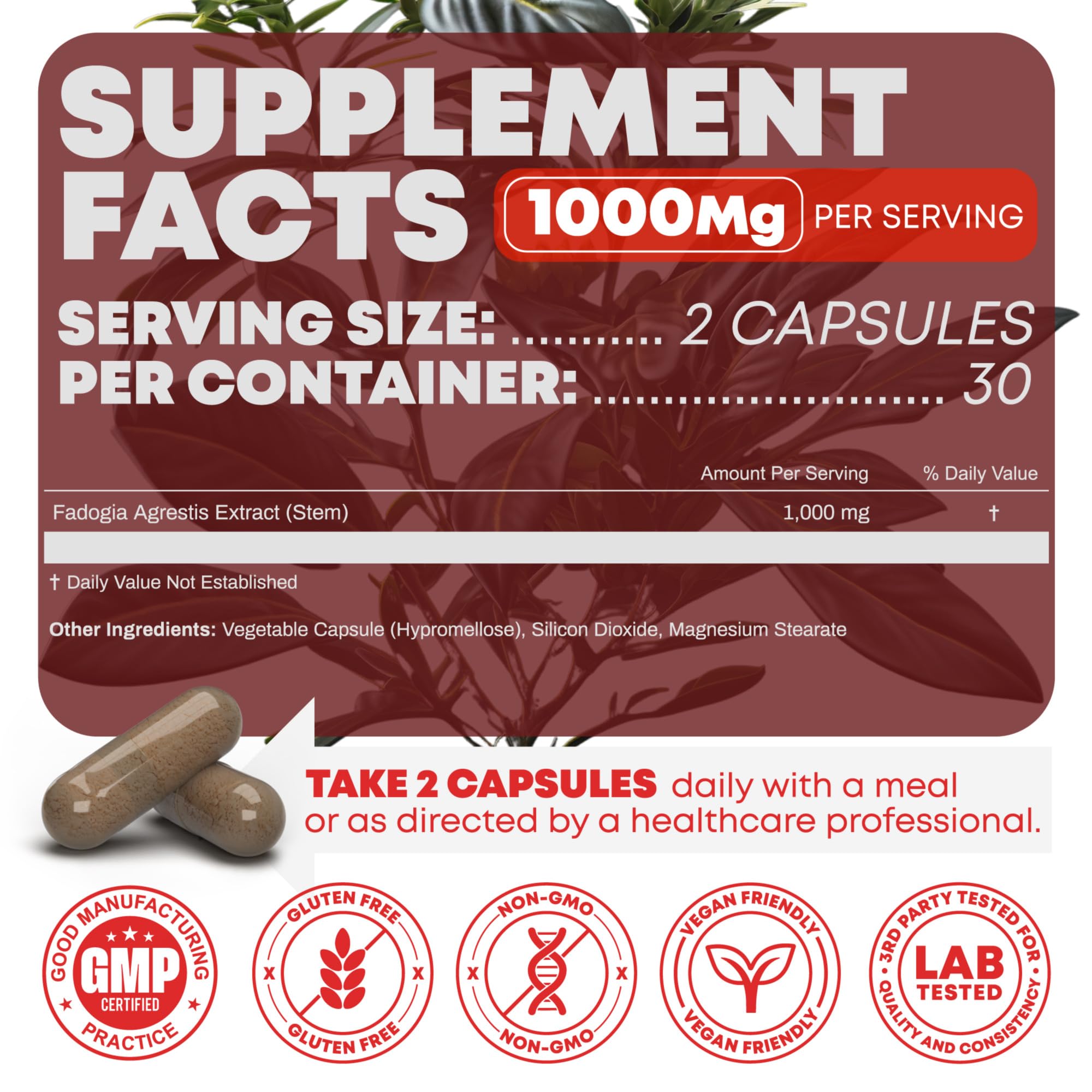 Fadogia Agrestis 1000mg Per Serving Supplement - Potent Extract to Increase Energy, Athletic Performance & Muscle Mass - Supplements, Made in The USA (60 Capsules)