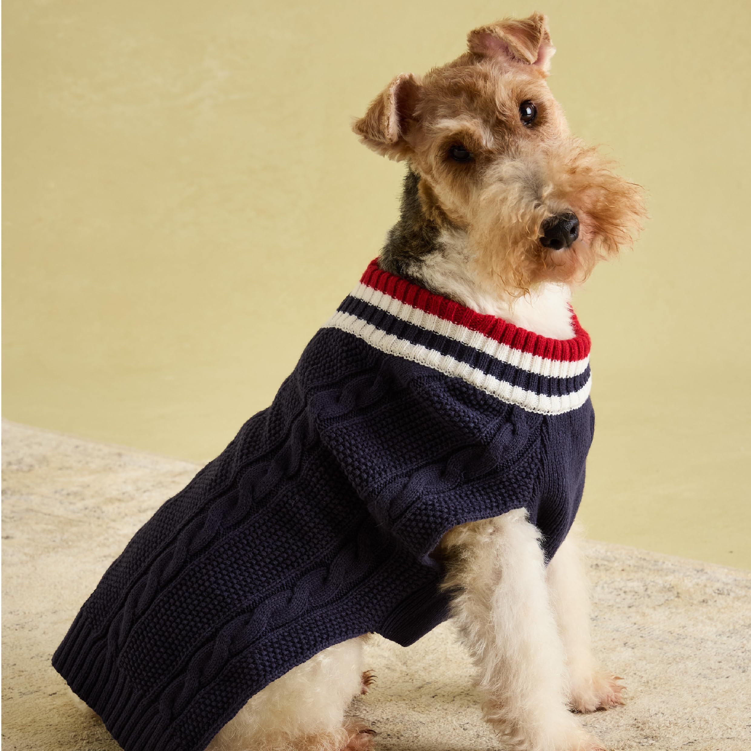 Rosewood x Joules Dawson Navy Knit Jumper for Dogs, Medium, Washable, Warm and Comfy Winter Sweater for Medium Dogs