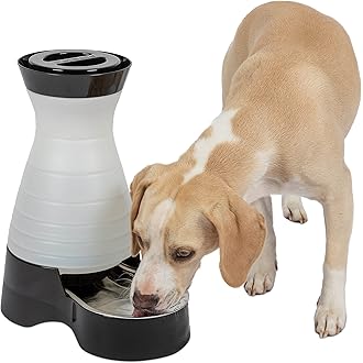 Amazon Best Sellers: Best Dog Bowls