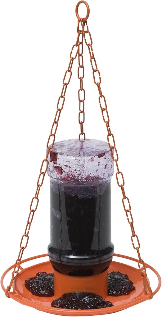 Amazon Com Perky Pet 253 Oriole Jelly Wild Bird Feeder Garden