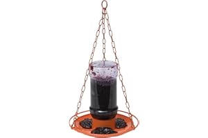 Perky-Pet 253 Wild Oriole Jelly Bird Feeder - 32 Ounce Feeder Capacity