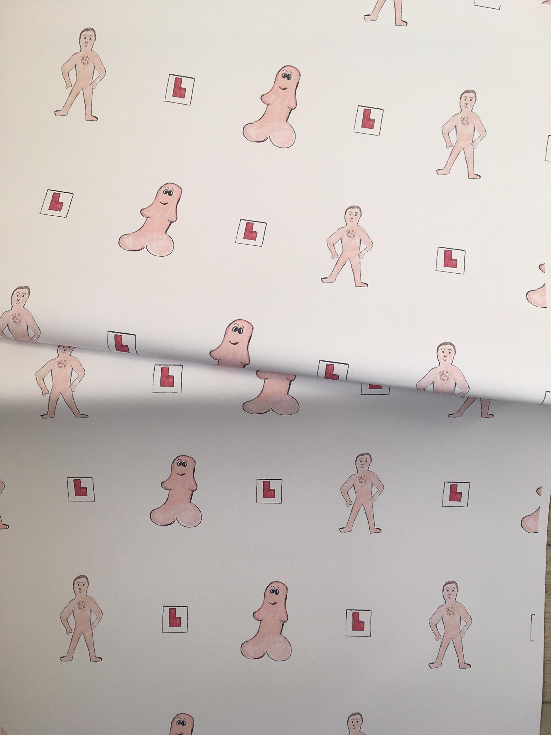 Hen Party,Wrapping Paper, Gift wrap, for Hen Parties,for Smaller Gifts, Read Description