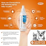 ICF Clorexyderm 4% Spray for Dogs & Cats 200 ml Vet-Recommended Non-Rinse view 2