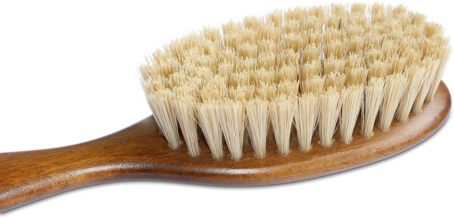Mars Boar Bristle Cat Hair Brush, Made in Germany, 3/4" Bristles and 2" Wide Head : Pet Supplies
